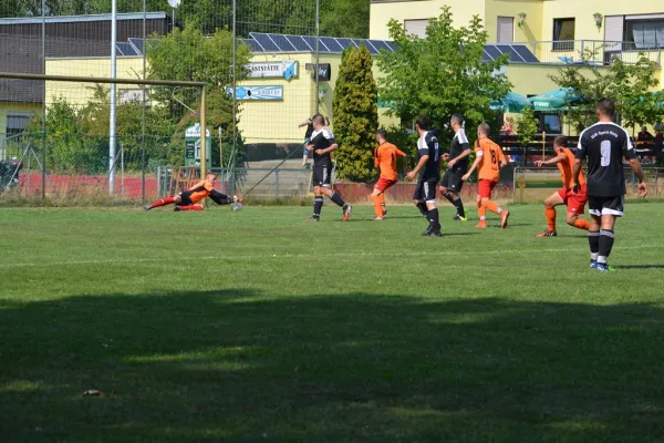 09.08.2015 VFR Moorenbrunn vs. DJK Sparta Noris